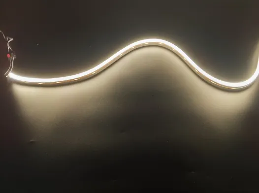 China LED Neon strip supplier