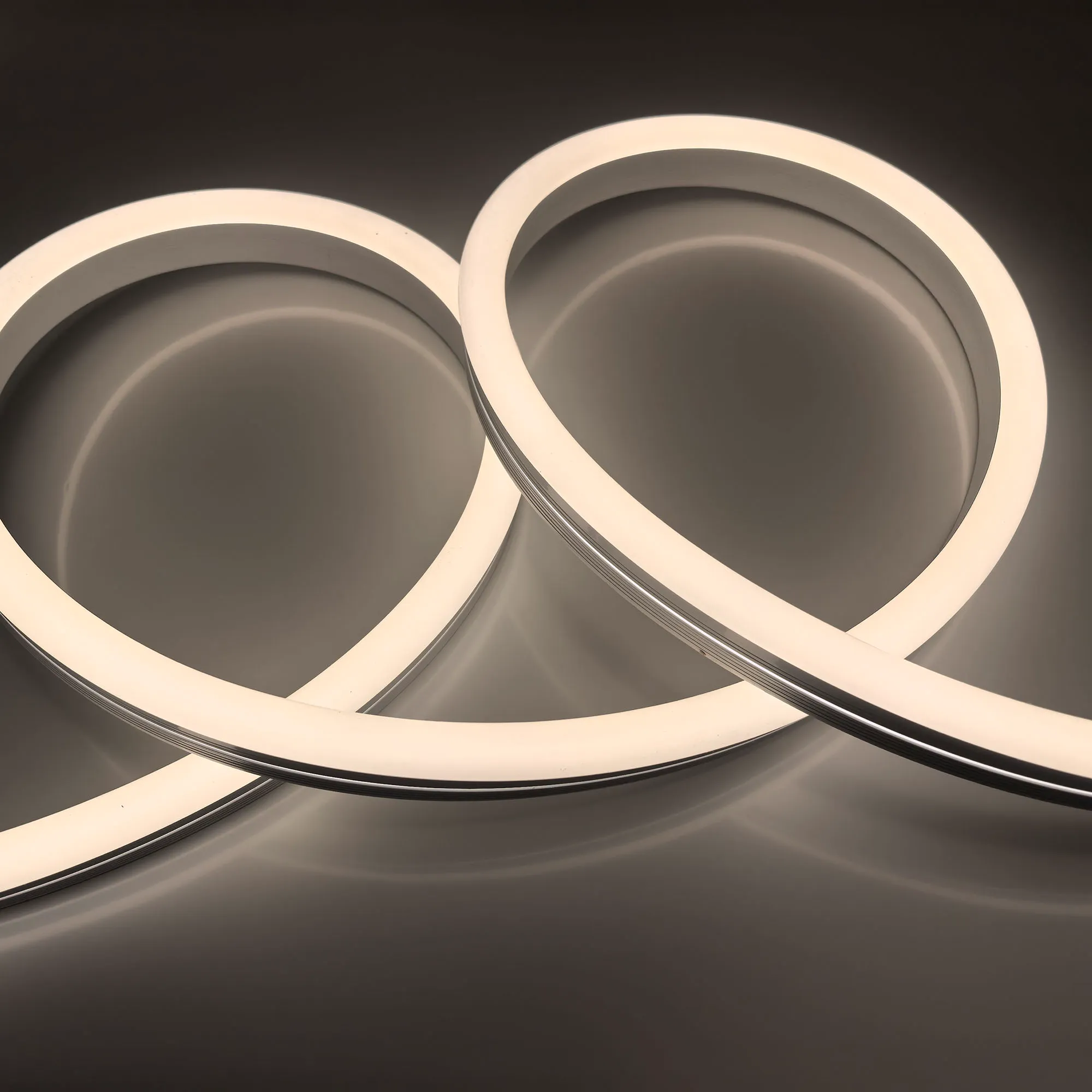 Neon strip lights 1225